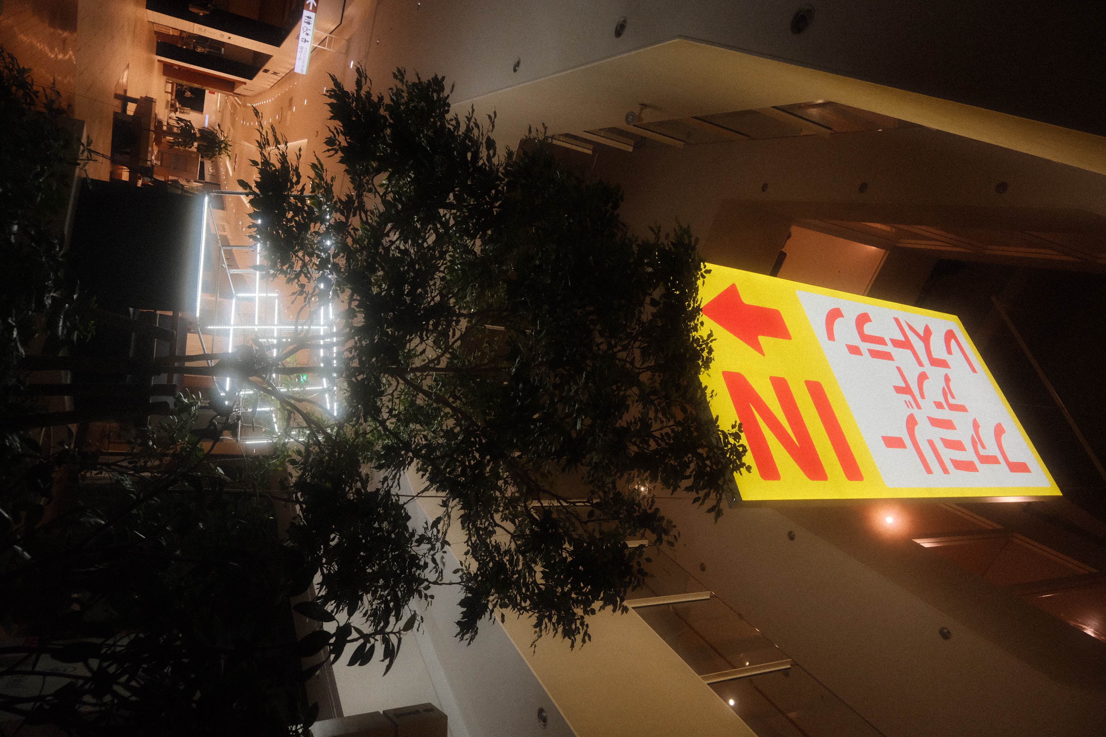 展示風景